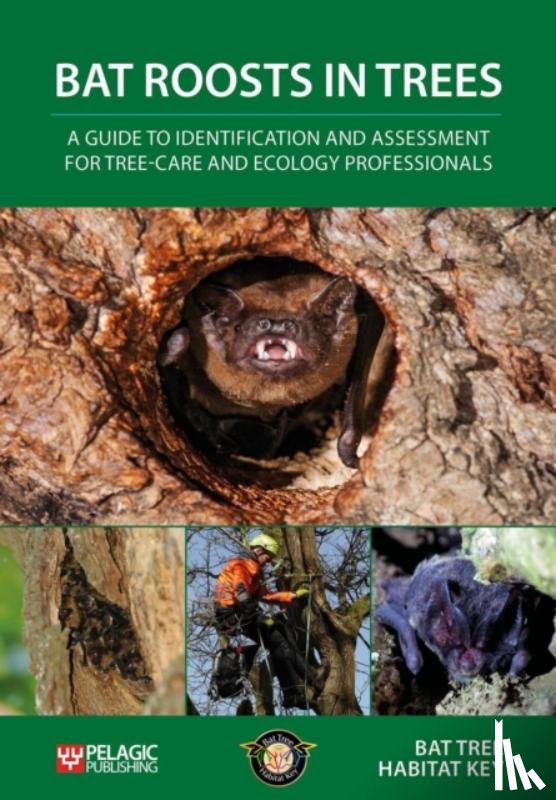 Bat Tree Habitat Key - Bat Roosts in Trees