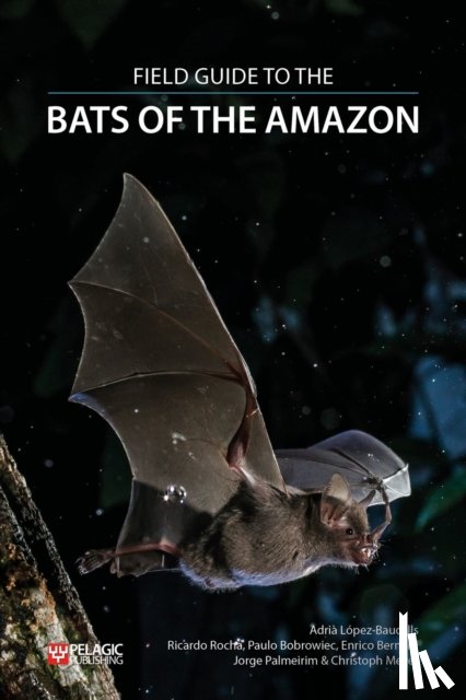 Lopez-Baucells, Adria, Rocha, Ricardo, Bobrowiec, Paulo, Bernard, Enrico - Field Guide to the Bats of the Amazon