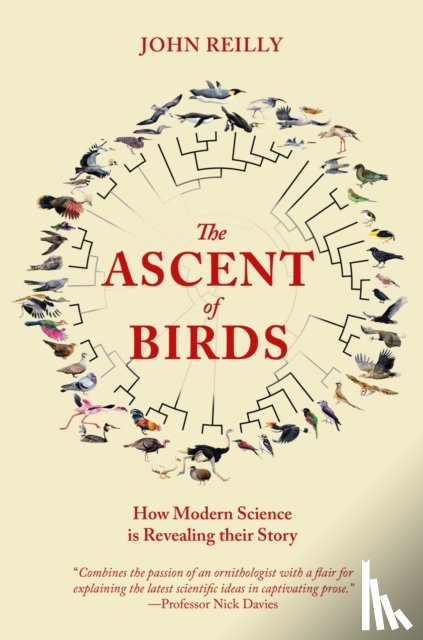 Reilly, John - The Ascent of Birds