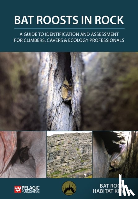 Bat Rock Habitat Key - Bat Roosts in Rock