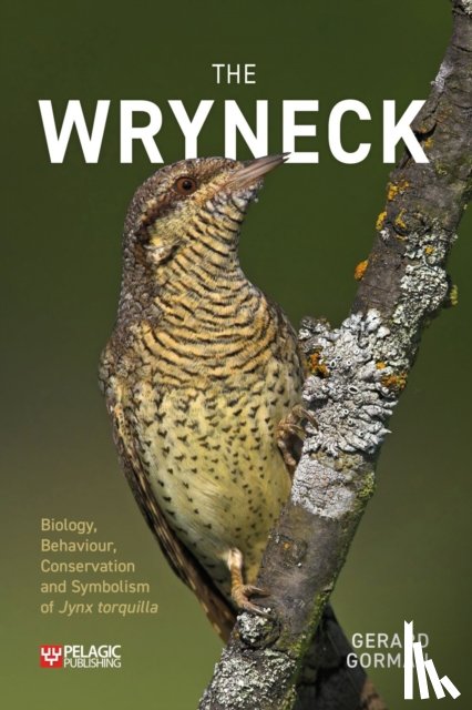 Gorman, Gerard - The Wryneck