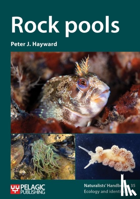 Hayward, Peter J. - Rock pools