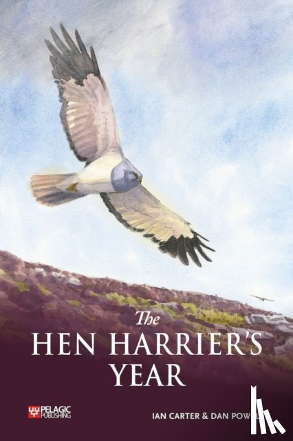 Carter, Ian - The Hen Harrier's Year