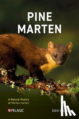 Bagur, Dan - Pine Marten