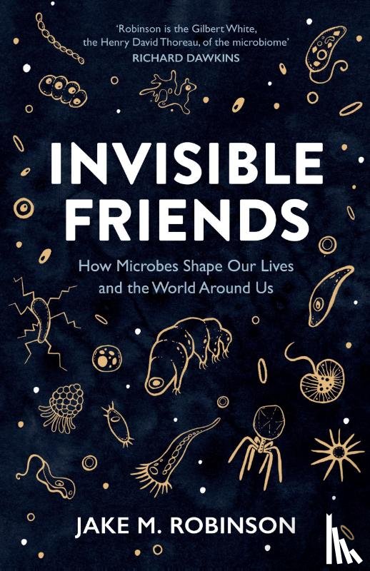 Robinson, Jake - Invisible Friends