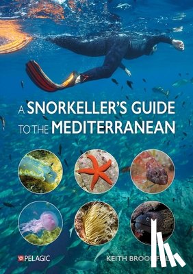 Broomfield, Keith - A Snorkeller’s Guide to the Mediterranean