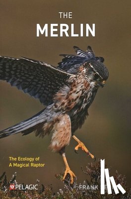 Rennie, Frank - The Merlin