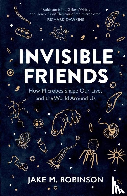 Robinson, Jake - Invisible Friends