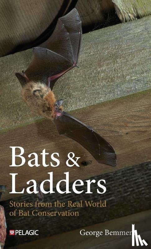 Bemment, George - Bats & Ladders