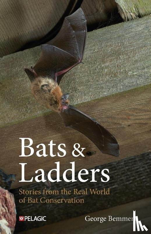 Bemment, George - Bats & Ladders