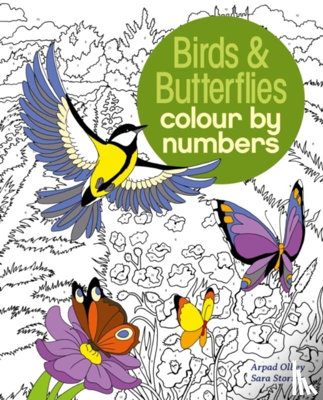 Storino, Sara (Illustrator), Olbey, Arpad (Illustrator) - Birds & Butterflies Colour by Numbers