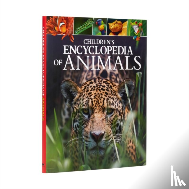 Leach, Dr Michael, Lland, Dr Meriel - Children's Encyclopedia of Animals