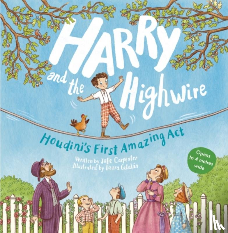 Carpenter, Julie - Harry and the Highwire