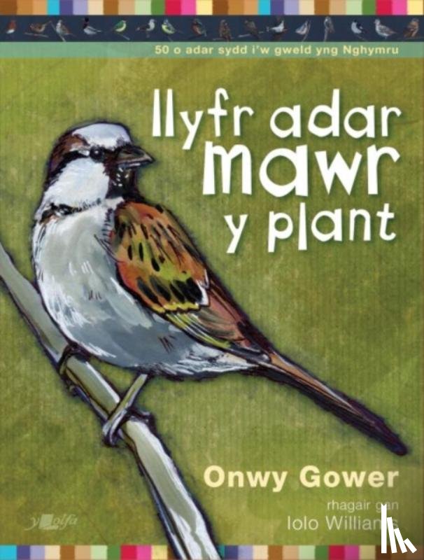 Gower, Onwy - Llyfr Adar Mawr y Plant