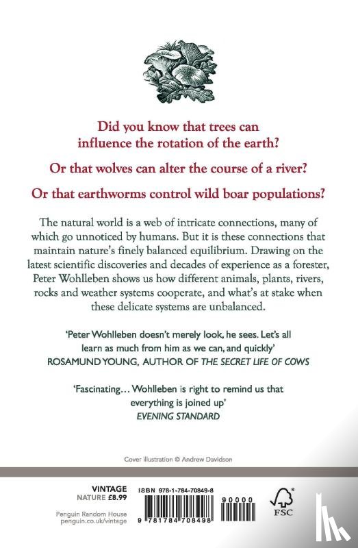 Wohlleben, Peter - The Secret Network of Nature