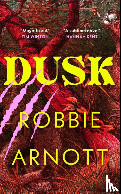 Arnott, Robbie - Dusk