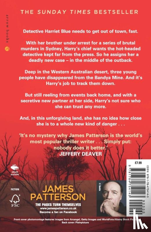 Patterson, James, Fox, Candice - Never Never