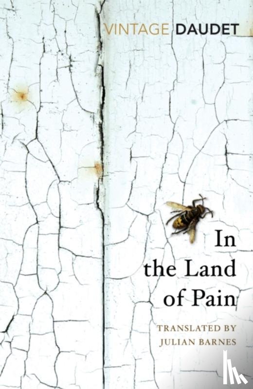 Daudet, Alphonse - In the Land of Pain
