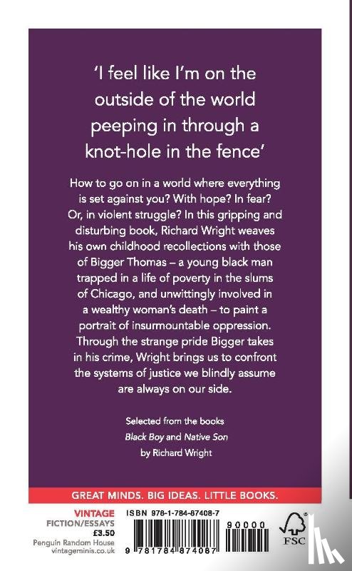 Wright, Richard - Injustice