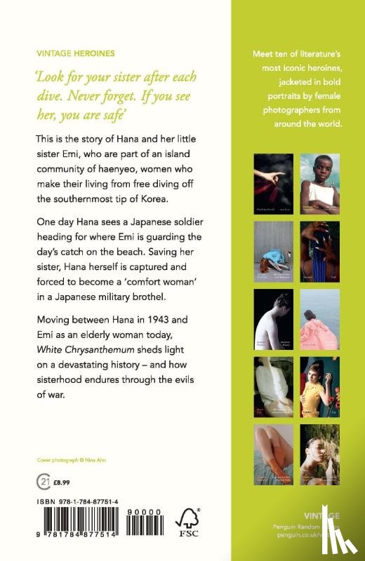 Bracht, Mary Lynn - White Chrysanthemum