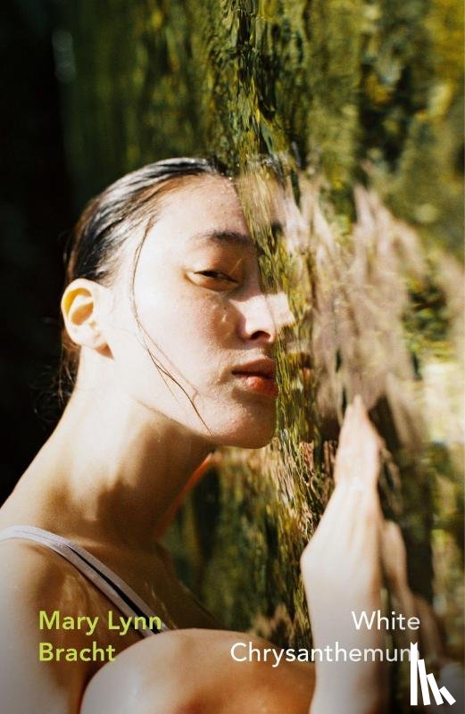 Bracht, Mary Lynn - White Chrysanthemum