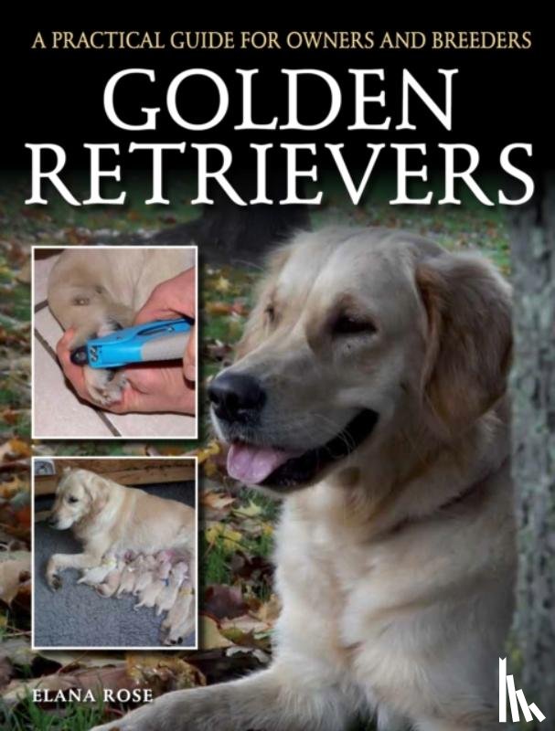 Rose, Elana - Golden Retrievers