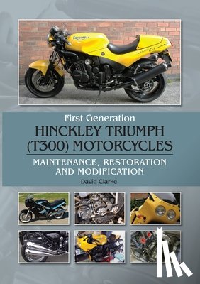 Clarke, David - First Generation Hinckley Triumph (T300) Motorcycles