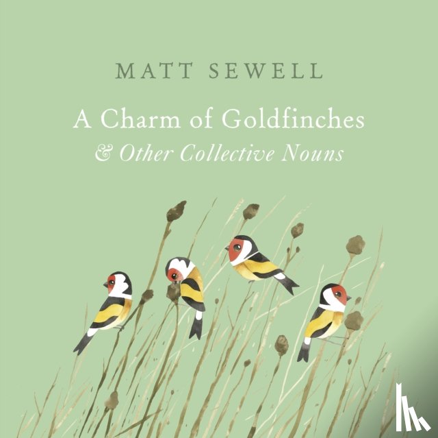 Sewell, Matt - A Charm of Goldfinches and Other Collective Nouns