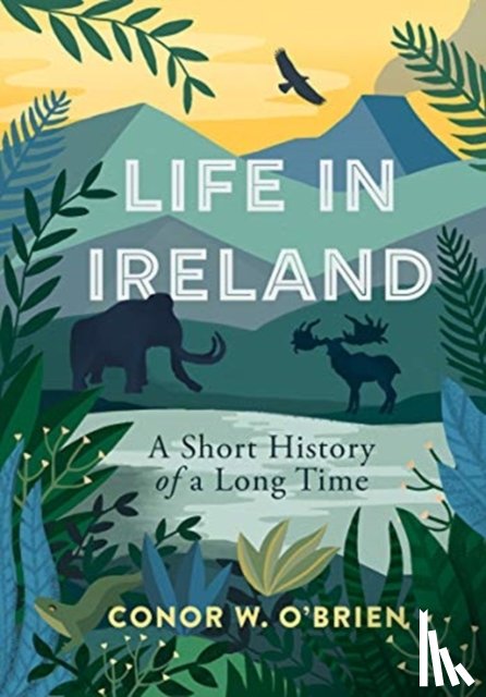 O'Brien, Conor - Life in Ireland