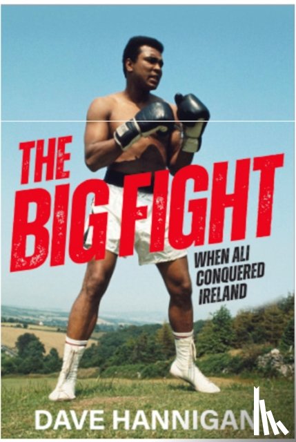 Hannigan, Dave - The Big Fight