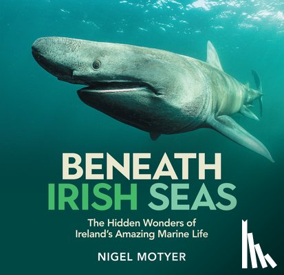 Motyer, Nigel - Beneath Irish Seas