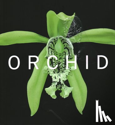 Berry, David A. - ORCHID