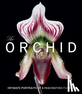 Berry, David - The Orchid
