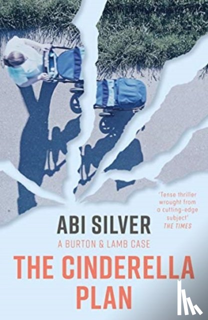 Silver, Abi - The Cinderella Plan