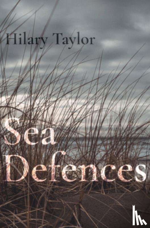 Taylor, Hilary - Sea Defences