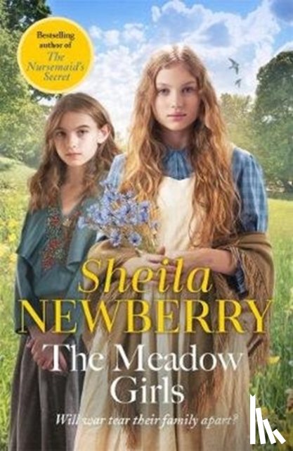 Everett, Sheila, Newberry, Sheila - The Meadow Girls