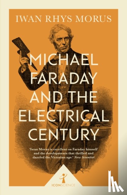 Rhys Morus, Iwan - Michael Faraday and the Electrical Century (Icon Science)