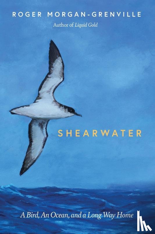 Morgan-Grenville, Roger - Shearwater