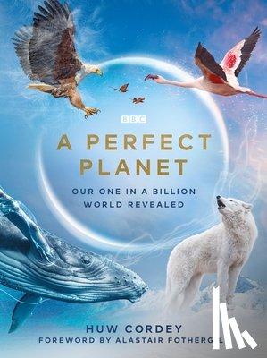 Cordey, Huw - A Perfect Planet