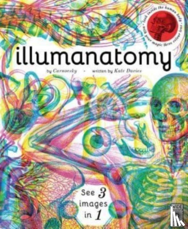 Davies, Kate - Illumanatomy