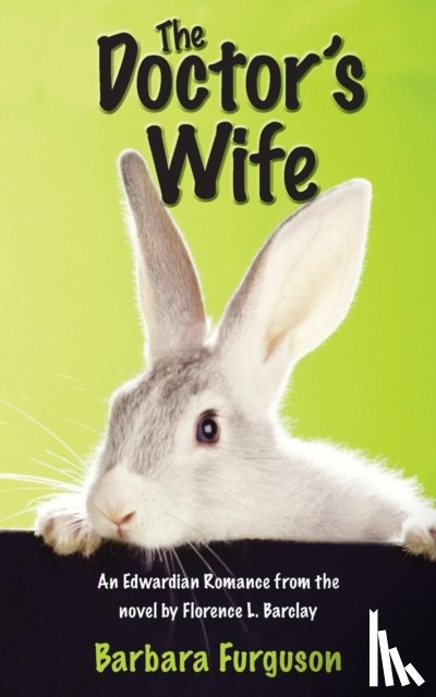 Furguson, Barbara M - The Doctor's Wife