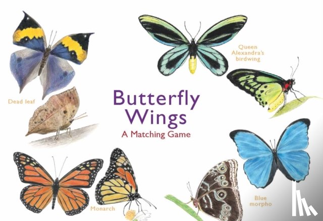  - Butterfly Wings