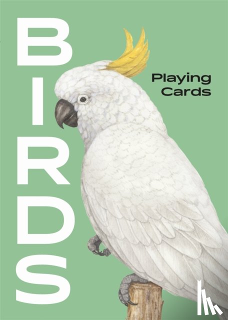  - Birds
