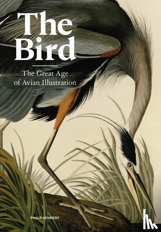 Kennedy, Philip - The Bird