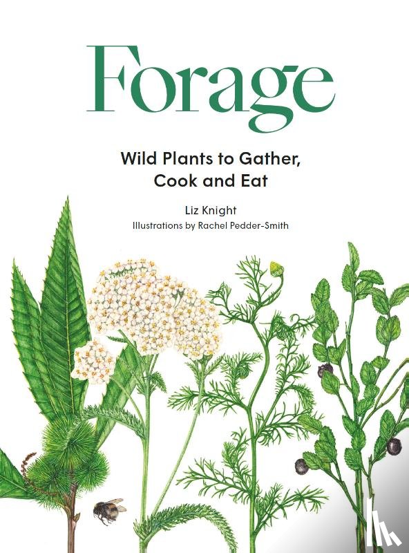 Knight, Liz - Forage