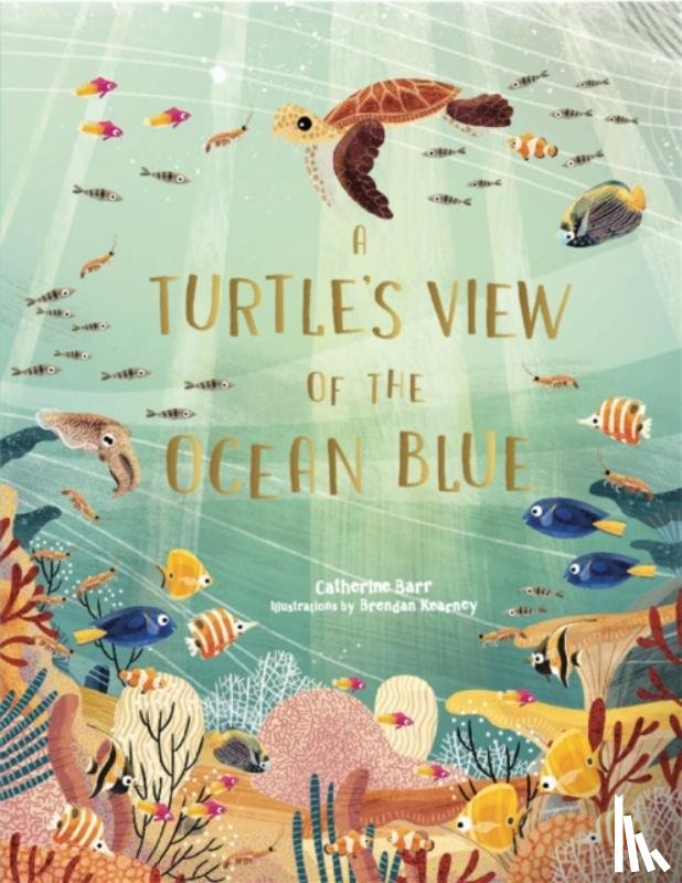  - A Turtle's View of the Ocean Blue