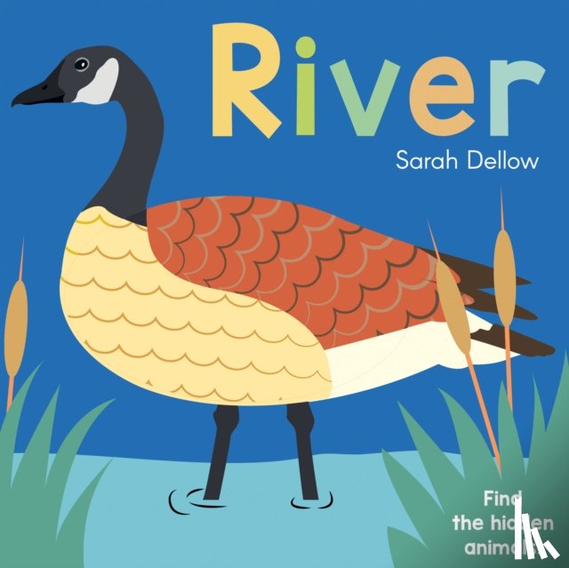 Dellow, Sarah - Now you See It! River