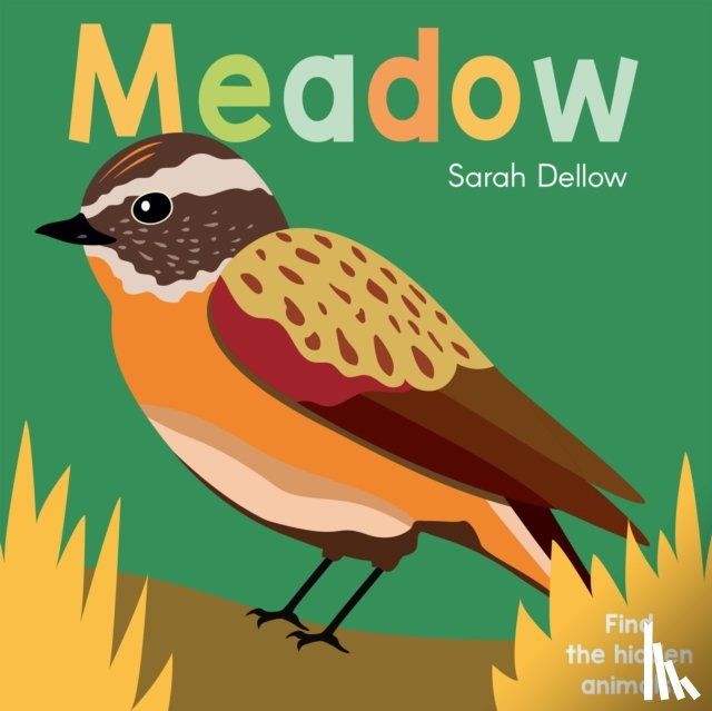 Dellow, Sarah - Now you See It! Meadow