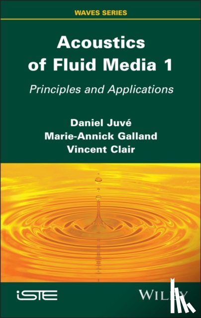 Juve, Daniel (Ecole Centrale de Lyon, Galland, Marie-Annick (Ecole Centrale de Lyon, Clair, Vincent (Ecole Centrale de Lyon - Acoustics of Fluid Media 1