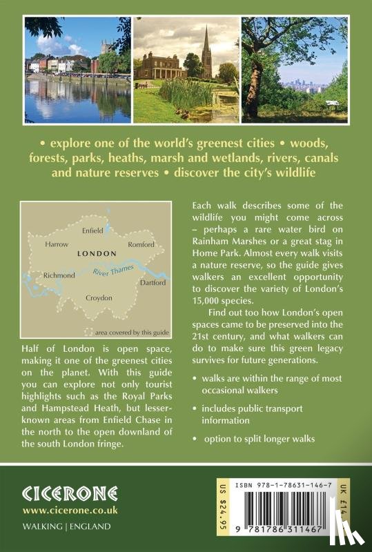 Aylmer, Peter - Walking in London